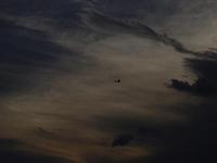  Um avião que faz voôs panorâmicos sobre a cidade, pena que ele estava contra o sol, e a camêra escureceu demais a foto.
