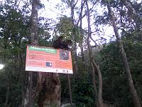 IMG_20121006_174500