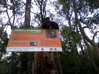 IMG_20121006_174511