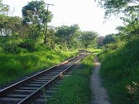  Caminho ao lado dos trilhos do trem.