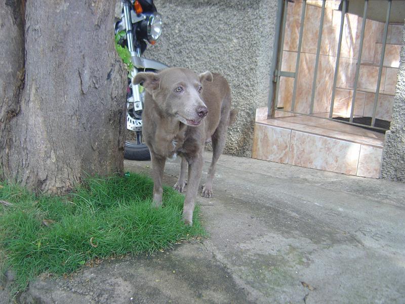 DSC02287