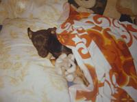 snoopy35