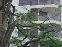  Praça Cel Joaquin José.