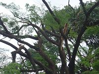  Praça Cel Joaquin José.